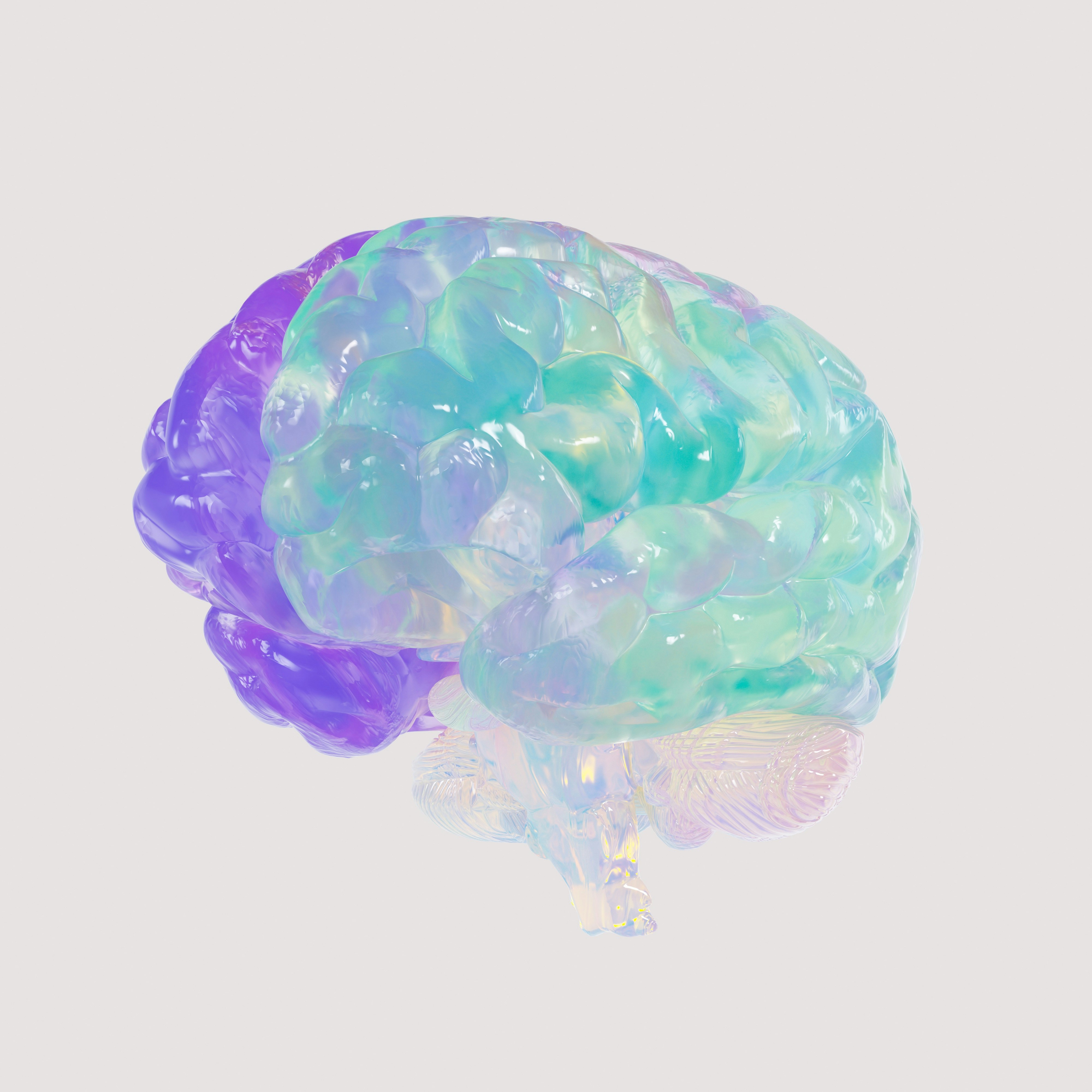 3D translucent brain model in blue, green, and purple tones on a light background.